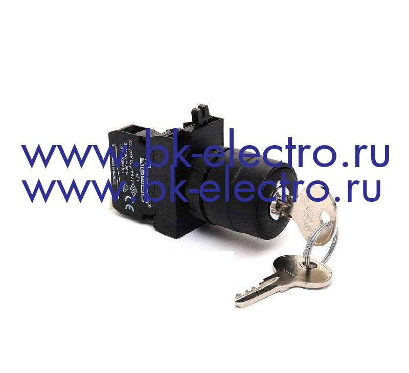 CP102AC30 Селекторный переключатель с ключом  Ø22 мм. (II-0-I), с фиксацией. ключ вын. во всех полож. (1НО+1НЗ) IP65 у официального дилера в Москве + 7 (499)398-07-73