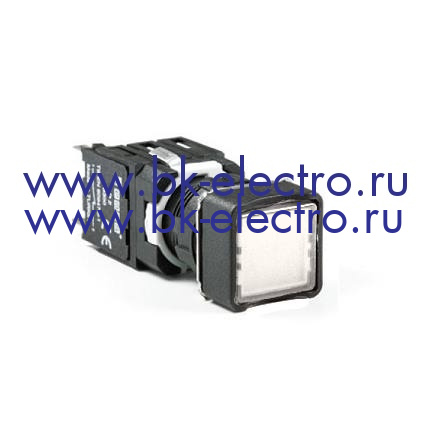 D101KDB Кнопка Ø16 мм. с возвратом, квадратная, белая (1НО+1НО) у официального дилера в Москве +7(499) 398-07-73