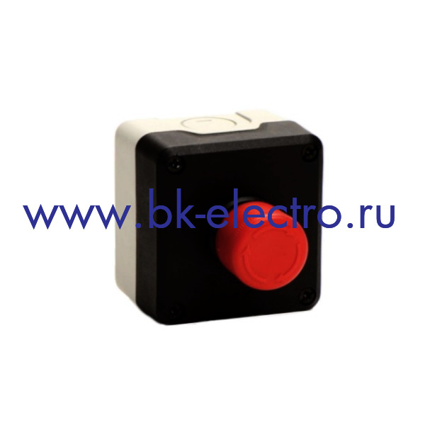 P1C304E30 Кнопочный пост управления в пластмассовом корпусе с кнопкой (Грибок Ø30мм.) с фиксацией, отключение вращением (1НЗ+1НО) в Москве +7 (499)398-07-73