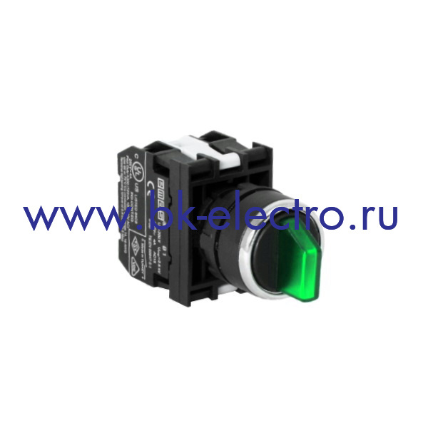 B191SL30Y Селекторный переключатель Ø22мм, (2-0-1) с фиксацией, зеленый (1НО+1НО) IP50 с блоком подсветки LED 12-30В перем./пост. тока  у официального дилера в Москве +7(499) 398-07-73