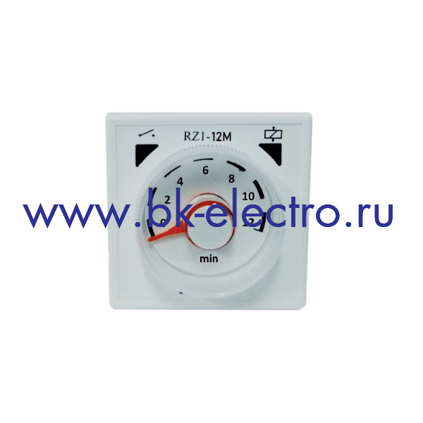 RZ1A1A12M-25 Однофункциональное реле, 36x36мм. с задержкой на включение 1 sec -12 min, 24V AC/DC-220V AC, 1 контакт для переключения в Москве +7 (499)398-07-73
