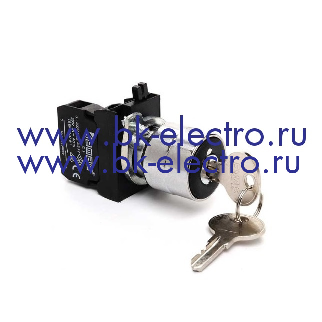 CM102AC20 Селекторный переключатель с ключом Ø22 мм. в металл. корпусе, (0-I) с фикс. ключ вынимается во всех положениях (1НО+1НЗ) IP65 у официального дилера в Москве + 7 (499)398-07-73