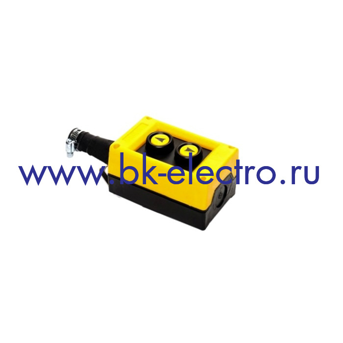 PVK2E Пульт управления подвесной, 2-х кнопочный (250В 50Гц) 4А 