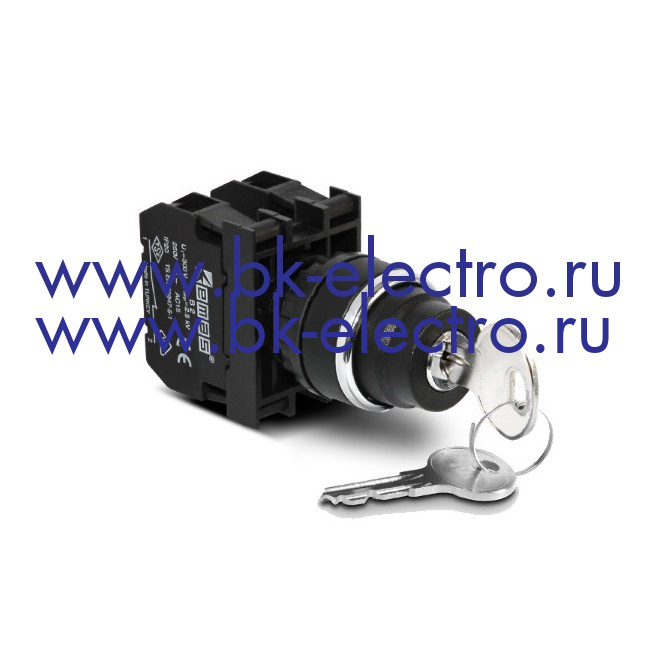 B102AC20 Селекторный переключатель с ключом Ø22 мм. (0-1) ключ вынимается во всех положениях (1НО+1НЗ) IP50 у официального дилера в Москве + 7 (499)398-07-73