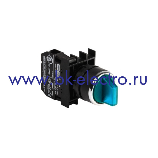 B100SL20M Селекторный переключатель Ø22мм, (0-1) с фиксацией, синий (1НО) IP50 c возможностью подключения блока подсветки у официального дилера в Москве +7(499) 398-07-73