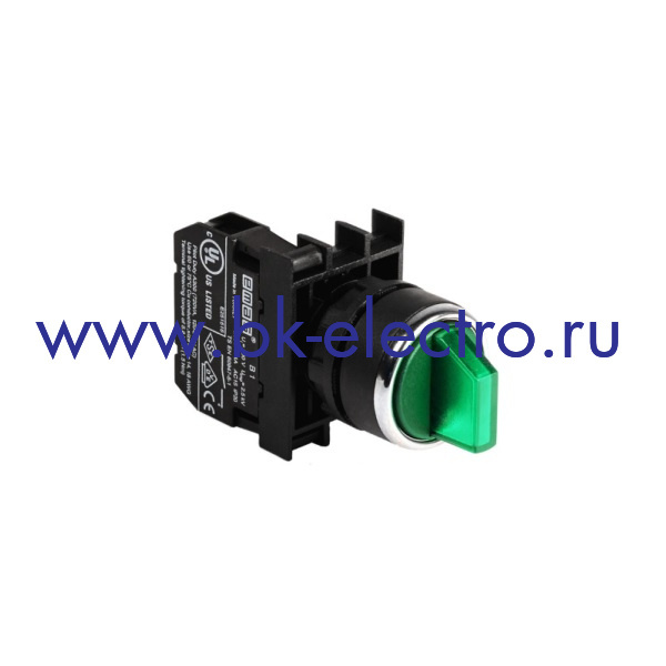 B100SL21Y Селекторный переключатель Ø22мм, (0-1) без фиксации, зеленый (1НО) IP50 c возможностью подключения блока подсветки у официального дилера в Москве +7(499) 398-07-73