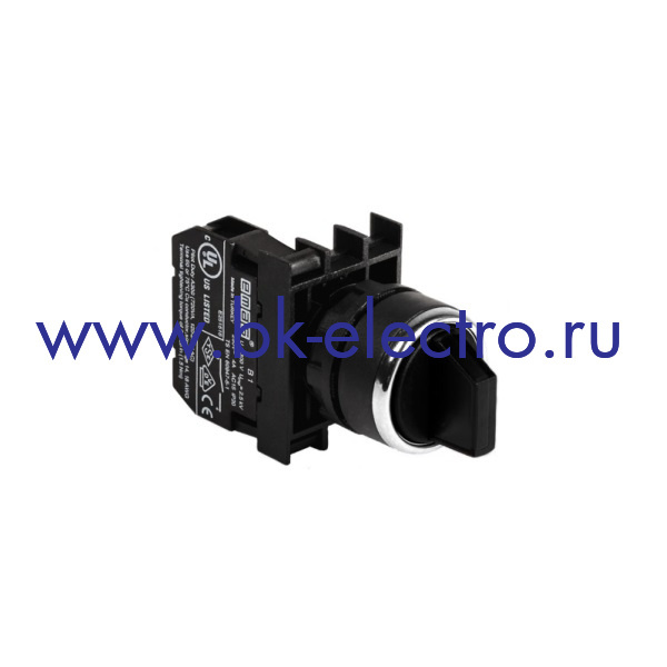 B100SL20H Селекторный переключатель Ø22мм, (0-1) с фиксацией, черный (1НО) IP50 у официального дилера в Москве +7(499) 398-07-73