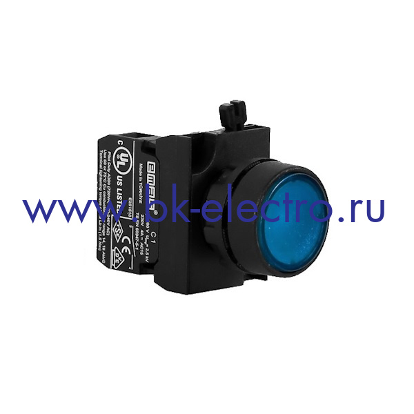 CP100DM CP100DM Кнопка нажимная Ø22мм. круглая, без фиксации, синяя (1НО) IP65, с возможностью подсоединения блок контакта подсветки у официального дилера в Москве