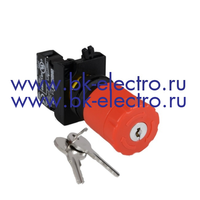 CP200EA30 Кнопка аварийная с ключом Грибок Ø30мм. с фиксацией, отключение вращением (1НЗ) IP65 у официального дилера в Москве +7(499) 398-07-73